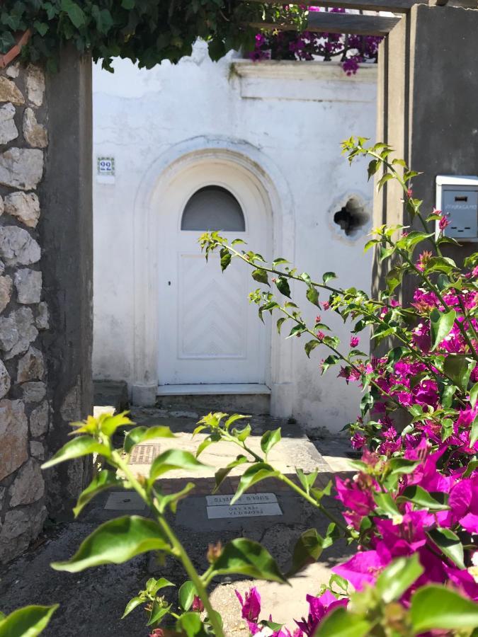 Bed and Breakfast Casa Maddy Capri Zewnętrze zdjęcie
